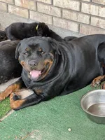 processed/fc1efcc8-8dac-4a3c-86f2-810cd670a13d/facility/a6b18960-0812-4570-be1a-03449698116c