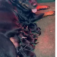 processed/fc1efcc8-8dac-4a3c-86f2-810cd670a13d/facility/bbdf71cd-1bff-44ce-8dff-b604829bf557