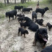 processed/fc1efcc8-8dac-4a3c-86f2-810cd670a13d/facility/f9a4560c-4786-402a-a39e-abf5b54ad054