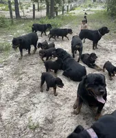 processed/fc1efcc8-8dac-4a3c-86f2-810cd670a13d/facility/f9a4560c-4786-402a-a39e-abf5b54ad054