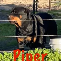 processed/fc1efcc8-8dac-4a3c-86f2-810cd670a13d/facility/fe672a0b-4ccc-45d2-89cb-e8d8110a6c33