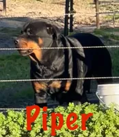 processed/fc1efcc8-8dac-4a3c-86f2-810cd670a13d/facility/fe672a0b-4ccc-45d2-89cb-e8d8110a6c33