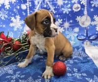 processed/fc2bb84b-1e38-4826-a512-6acff99a8f7e/listing/7b20ef77-e21e-4fee-bacd-894399fa9411/545889a9-709e-4898-8281-f4037d1879d2