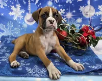 processed/fc2bb84b-1e38-4826-a512-6acff99a8f7e/listing/7b20ef77-e21e-4fee-bacd-894399fa9411/a6b4d8a5-f9cb-42af-bee3-8deed8e60707