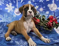 processed/fc2bb84b-1e38-4826-a512-6acff99a8f7e/listing/7b20ef77-e21e-4fee-bacd-894399fa9411/c8e8925b-ccc8-4ee3-867b-9b7981cceaee