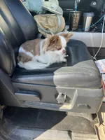 Max, a male Chihuahua for sale in Warner Springs, CA – Photo 3 of 3