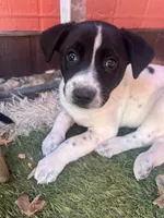 processed/fc2d0a22-2e7e-47f6-b993-4a1755faad2d/listing/c29d9793-e852-4258-b81e-1abc6b17d554/19da1606-5eb9-41c6-b03b-625023a66ee7