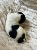 processed/fc2d0a22-2e7e-47f6-b993-4a1755faad2d/listing/c29d9793-e852-4258-b81e-1abc6b17d554/b05cbb74-e964-4375-8bac-b9716b13d873