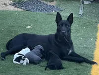 processed/fc2d0a22-2e7e-47f6-b993-4a1755faad2d/listing/c29d9793-e852-4258-b81e-1abc6b17d554/fca98564-0cab-416c-ab53-689fa4cc91d6