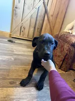 processed/fc3d4c70-4ad2-42d1-9215-fde5ee327bb0/listing/43ed1eb3-bb8e-4726-8b9b-c3d89306e571/2947b95a-1997-4bf7-a887-da4d0a97b81c