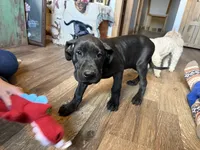 processed/fc3d4c70-4ad2-42d1-9215-fde5ee327bb0/listing/43ed1eb3-bb8e-4726-8b9b-c3d89306e571/2bba9f5f-eca6-4c25-9234-c15713036f05