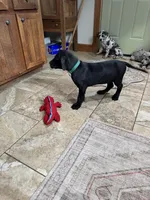 processed/fc3d4c70-4ad2-42d1-9215-fde5ee327bb0/listing/43ed1eb3-bb8e-4726-8b9b-c3d89306e571/2ce4d251-28a2-4bd5-9f0d-0d8c181a80e0