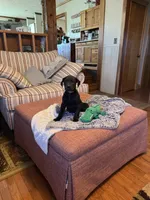 processed/fc3d4c70-4ad2-42d1-9215-fde5ee327bb0/listing/43ed1eb3-bb8e-4726-8b9b-c3d89306e571/69fbfc15-8f84-4c0f-bc8e-c64eebfa6fcd