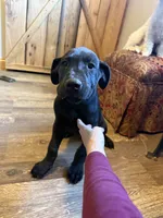 processed/fc3d4c70-4ad2-42d1-9215-fde5ee327bb0/listing/43ed1eb3-bb8e-4726-8b9b-c3d89306e571/6ffe1f2a-3e9b-4995-b76c-d5ceb2f5f8dd