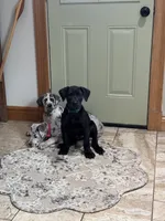 processed/fc3d4c70-4ad2-42d1-9215-fde5ee327bb0/listing/43ed1eb3-bb8e-4726-8b9b-c3d89306e571/76fcb63c-6c76-4c16-bf7d-f99ece6dc5e8