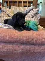 processed/fc3d4c70-4ad2-42d1-9215-fde5ee327bb0/listing/43ed1eb3-bb8e-4726-8b9b-c3d89306e571/790ba5bf-44ac-4938-b410-9bdca65f7b18