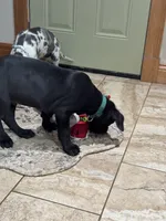 processed/fc3d4c70-4ad2-42d1-9215-fde5ee327bb0/listing/43ed1eb3-bb8e-4726-8b9b-c3d89306e571/f73ef367-0017-41ed-8d25-d00725956710