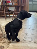 processed/fc3d4c70-4ad2-42d1-9215-fde5ee327bb0/listing/cafc24bd-04d5-48de-b4e0-f49616784697/1a262626-5c4b-4730-ab9a-f89ac25b85db