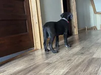 processed/fc3d4c70-4ad2-42d1-9215-fde5ee327bb0/listing/cafc24bd-04d5-48de-b4e0-f49616784697/3f87cf58-d5c4-4e83-a624-8b419504653c