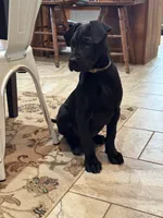 processed/fc3d4c70-4ad2-42d1-9215-fde5ee327bb0/listing/cafc24bd-04d5-48de-b4e0-f49616784697/45a3d33f-9e2b-4828-998f-b7353e675dc0