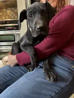 processed/fc3d4c70-4ad2-42d1-9215-fde5ee327bb0/listing/cafc24bd-04d5-48de-b4e0-f49616784697/76756bff-0b2a-406c-b60c-8dc85ec5f93f