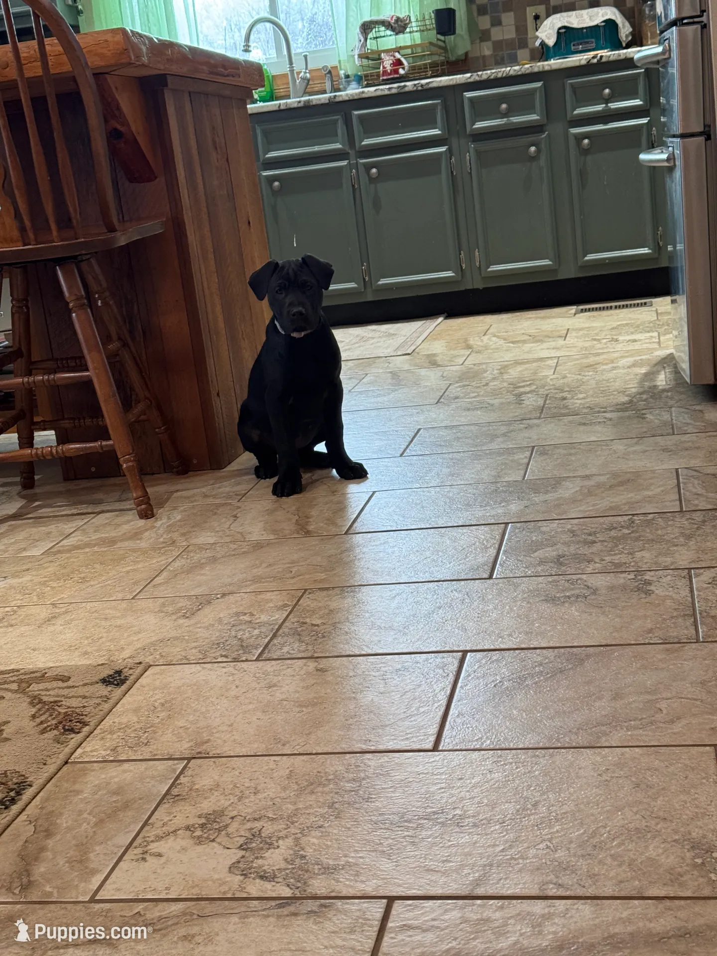 processed/fc3d4c70-4ad2-42d1-9215-fde5ee327bb0/listing/cafc24bd-04d5-48de-b4e0-f49616784697/83bb2f24-319c-457b-ae2e-6375636b3f50