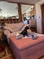 processed/fc3d4c70-4ad2-42d1-9215-fde5ee327bb0/listing/dabf7568-ba22-4dde-8d31-0afccafc0101/43d37c67-6ab4-491c-9e2e-c854ab34e085