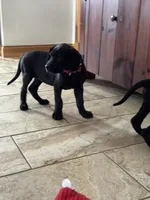 processed/fc3d4c70-4ad2-42d1-9215-fde5ee327bb0/listing/dabf7568-ba22-4dde-8d31-0afccafc0101/d1d906b8-092e-43d0-9252-7d1b2c0ef8de