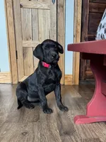 processed/fc3d4c70-4ad2-42d1-9215-fde5ee327bb0/listing/dabf7568-ba22-4dde-8d31-0afccafc0101/eb5f76a7-7925-4d23-baf1-6e0ac0d6342d