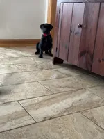 processed/fc3d4c70-4ad2-42d1-9215-fde5ee327bb0/listing/dabf7568-ba22-4dde-8d31-0afccafc0101/fd551f93-7029-4a40-b431-c35e44c2bbba