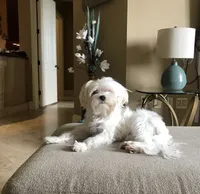 processed/fc3d82bb-80ab-4793-b8f6-3d26a87cb9eb/facility/180c5bfc-7937-4196-a2ce-3050ad511441