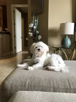 processed/fc3d82bb-80ab-4793-b8f6-3d26a87cb9eb/facility/5ede92f2-e7c8-4bf1-b6c8-2e3db5ad9ea1