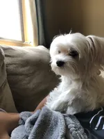 processed/fc3d82bb-80ab-4793-b8f6-3d26a87cb9eb/facility/7074bc1c-688a-49fa-940f-9dd74b11d8e9