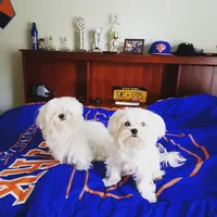 processed/fc3d82bb-80ab-4793-b8f6-3d26a87cb9eb/facility/c999d4de-bb7e-4ab2-ab56-474c6ec05d0f