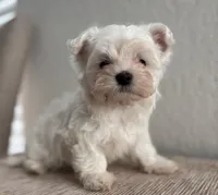 processed/fc3d82bb-80ab-4793-b8f6-3d26a87cb9eb/listing/bdc86cc3-4dec-4b17-ba69-6fa2376d1d7e/0dac6b2e-f3c7-4759-bb33-f3b456d53cf5