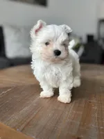 processed/fc3d82bb-80ab-4793-b8f6-3d26a87cb9eb/listing/bdc86cc3-4dec-4b17-ba69-6fa2376d1d7e/5caabebc-5541-4c08-a3fc-10fbf8ac7304