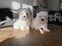 processed/fc3d82bb-80ab-4793-b8f6-3d26a87cb9eb/listing/bdc86cc3-4dec-4b17-ba69-6fa2376d1d7e/8fc704de-6ab8-4837-8381-082c53153fd4