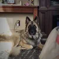 processed/fc6dd872-aae2-4716-aefe-b577aabfeef1/facility/1eb5a11e-c7fc-446b-8d1e-b37741182431