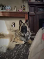 processed/fc6dd872-aae2-4716-aefe-b577aabfeef1/facility/1eb5a11e-c7fc-446b-8d1e-b37741182431