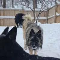 processed/fc6dd872-aae2-4716-aefe-b577aabfeef1/facility/2d28c38d-9d42-45b9-bc48-14148e66c820