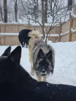 processed/fc6dd872-aae2-4716-aefe-b577aabfeef1/facility/2d28c38d-9d42-45b9-bc48-14148e66c820