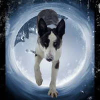 processed/fc6dd872-aae2-4716-aefe-b577aabfeef1/facility/491dd368-d00b-4089-9b1a-78c5c25e8f01