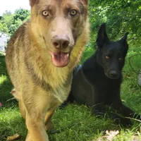 processed/fc6dd872-aae2-4716-aefe-b577aabfeef1/facility/4aa40c2c-4191-417b-9250-484e01fe89fc