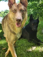 processed/fc6dd872-aae2-4716-aefe-b577aabfeef1/facility/4aa40c2c-4191-417b-9250-484e01fe89fc