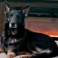 processed/fc6dd872-aae2-4716-aefe-b577aabfeef1/facility/75ea27da-3d7b-4d01-a027-30438f27702e