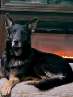 processed/fc6dd872-aae2-4716-aefe-b577aabfeef1/facility/75ea27da-3d7b-4d01-a027-30438f27702e