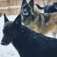 processed/fc6dd872-aae2-4716-aefe-b577aabfeef1/facility/87601f5b-82b6-4176-afbe-78c3a27df25d