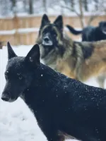 processed/fc6dd872-aae2-4716-aefe-b577aabfeef1/facility/87601f5b-82b6-4176-afbe-78c3a27df25d