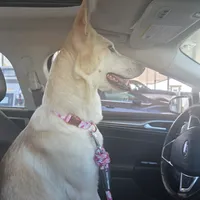 processed/fc6dd872-aae2-4716-aefe-b577aabfeef1/facility/b535541f-3511-4d7a-ad5d-c1e1779372a6