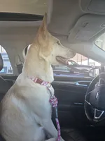 processed/fc6dd872-aae2-4716-aefe-b577aabfeef1/facility/b535541f-3511-4d7a-ad5d-c1e1779372a6